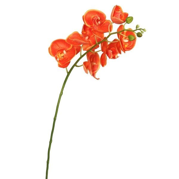 Real Touch Orchid-7 Heads Floral StemOrange, Dare2Decor, Mfr#: DA591033